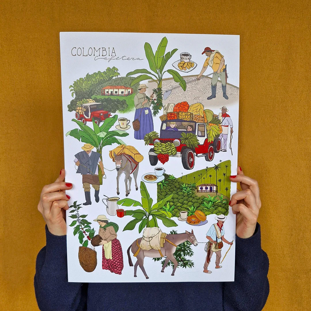 Afiche / Cuadro de Colombia Cafetera